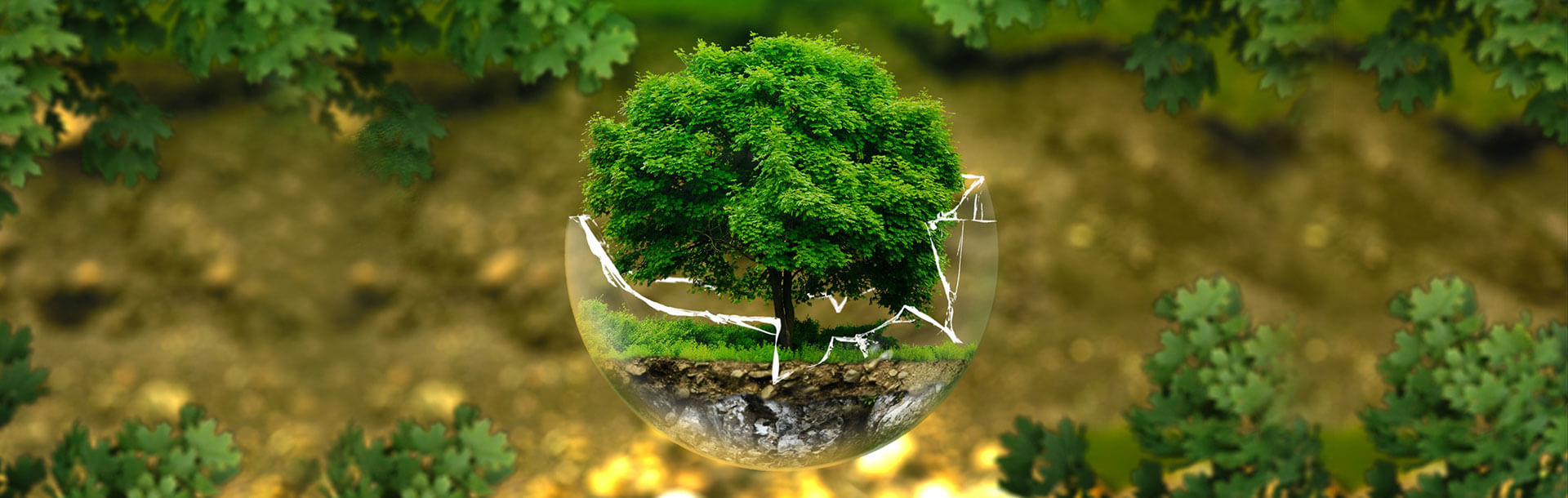 Како да бидеме eco-friendly и свесни за животната средина?