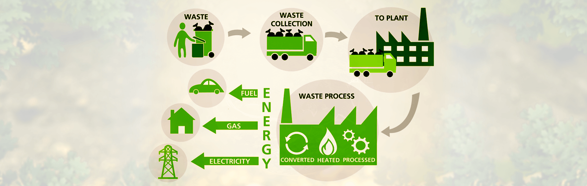 Биомаса и биогорива: Од отпад до енергија
